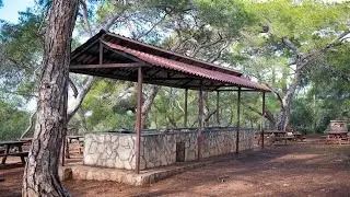 Pikni Forest