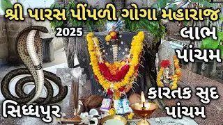 લાભ પાંચમ નિમિત્તે શ્રી પારસ પીંપળી ગોગા મહારાજના દર્શન સિધ્ધપુર/#goga Maharaj #sidhpur 2025#vlog🙏
