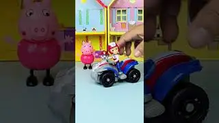 Ultimate Satisfying Paw Patrol Toy Collection ASMR #pawpatrol #toys #asmr