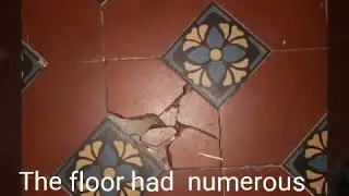 Victorian tiled floor clean, repair & sealed
