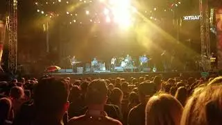 The Growlers - M3F Fest