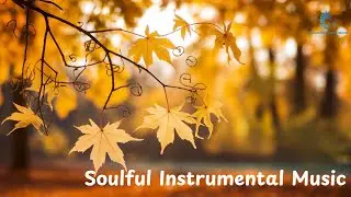A Relaxing Fusion Experience | Instrumental song | by Muchkula Fusion Music
