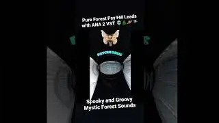 Forest Psy Production - (Psychedelic Trance) #forestdark #psytrance #darkpsy #forestpsy #cyberdelic