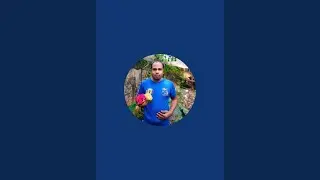 এখন আমাদের জামাইকে গায়ে হলুদ দেওয়া হবে