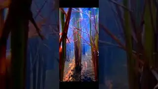 #underwater #sorts #viral #Applecamera #share