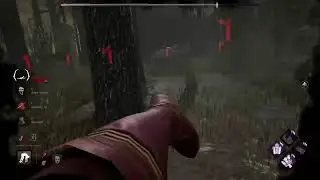 DBD SURVIVOR & KILLER Best Build 2026