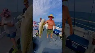 It&rsquo;s back to back tilefish