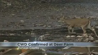 Portage County deer farm tests positive for Chronic Waste Disease