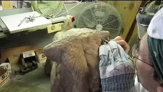 Dog bronze sculpture casting inspection