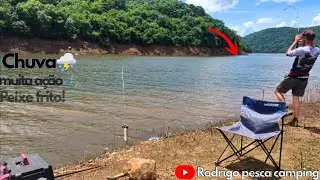 Quando o peixe encosta &eacute; s&oacute; fisgar! carpa, voga e piranha foram apresentados ao &oacute;leo, muito peixe!