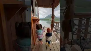 День из жизни на курорте в отдаленной Аляске ￼