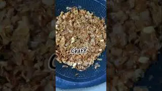 Akara ( Beans cake) #cooking  #food  #viral  #viralvideo #Akara