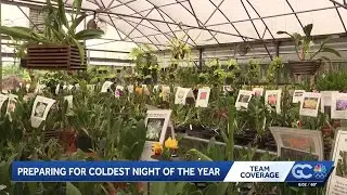 Residents along Florida's Gulf Coast advised to protect plants and prepare for cold snap