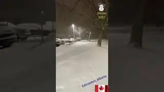 Winter 2021 || Edmonton   Canada|| Snowfall