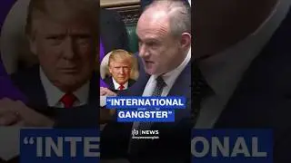 UK MP Ed Davey calls Trump an 