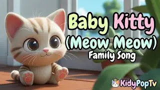 Baby Kitty Song 🐱 | Meow Meow Dance & Nursery Rhymes | KidyPopTV