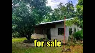Good Investment! Farm lot with house for sale.Pandi,Bulacan