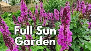 Full Sun Garden Bed | #butterfly #hummingbird #pollinator garden 🦋🐛 | Texas Gulf Coast Zone 9b