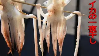 イカの一夜干しとするめの作り方