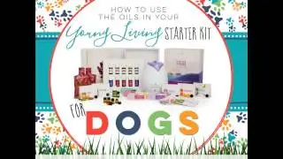 Essential Oils for Your Dog