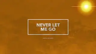 Chris Nelson - Never Let Me Go [Official Lyric Video]