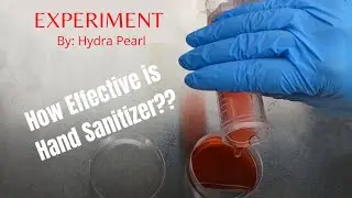 How Effective is Hand Sanitizer? *EXPERIMENT*