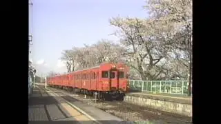 桜が咲く八高線明覚駅　ＤＤ５１重連　キハ３５　気動車