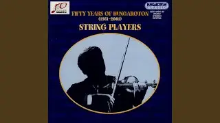 Concerto for Violin, Strings and Continuo in D major - I. Allegro