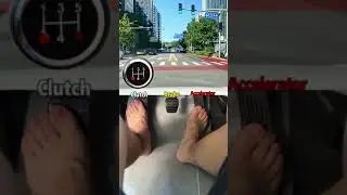 como manejar estandar