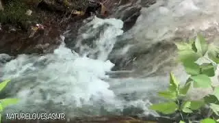 12 Hours Sleep Waterfall Sounds | Great Smoky Mountains National Park ASMR