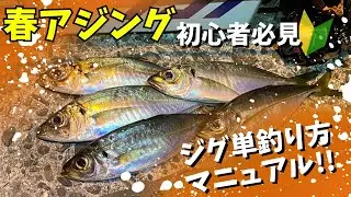 春アジング解説！簡単なジグ単解説マニュアル！これを見ればアジが釣れる事間違いなし！！