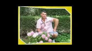 Florin Roman Viseu Botez Live 2012