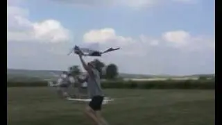 Actroskybird.avi