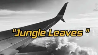 Jungle leaves...original song by singer/songwriter Joe Price