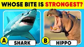 How Good Is Your Knowledge of ANIMALS? 🦛🦈✅ General Knowledge Trivia Quiz