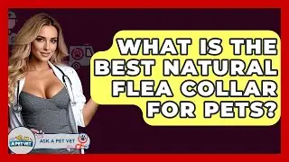 What Is The Best Natural Flea Collar For Pets? - Ask A Pet Vet