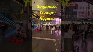 🧸Doha Airport-ல Special-ஆன 2 விஷயங்கள்‼️ #shorts #airport #Qatar #viral #trendingshorts