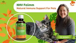 NHV Felimm | Natural Immune Support Supplement for Pets 🌿
