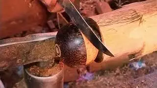 The Very Beautiful Ring Palm Ball#The Gifts Palm Ball#The Brow Palm Wood Turning Arts. 