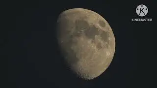 &ldquo;Silent Moon 🌙 Soft Wind & Night Calm | Relax Your Mind&rdquo;