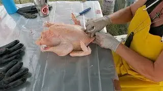 Butchering Day Is Here! Pro Farms Chicken Farming Day 65