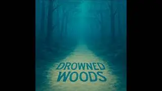 Drowned Woods - Shift and Switch and Change (Official Audio)