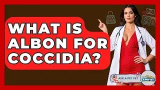 What Is Albon For Coccidia? - Ask A Pet Vet