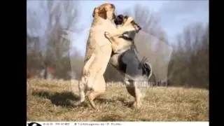 Alte Freundschaft