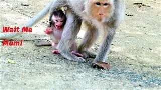 Million Break Heart and Pitiful Baby! Tiniest Baby Mila Calls Harder for Mother Malika' to Wait Her