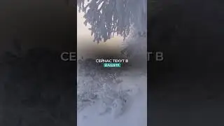 ВНУТРЕННЯЯ ОПОРА