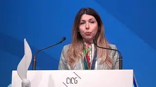 Shaparak Shajarizadeh at the 2020 Geneva Summit for Human Rights