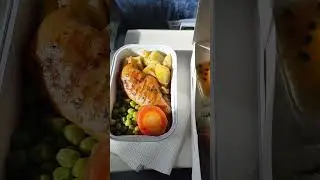 Uzbekistan Airways Delhi to Tashkent. ✈️ Onboard food. #travel #uzbekistanairways #food #tashkent