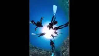 Scuba Divers drop camera into deep hole #animal #scuba #coolpictures