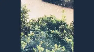 Kim Kardashian&rsquo;s beautiful backyard. So frickin beautiful